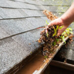 roof and gutter cleaning