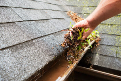 roof and gutter cleaning