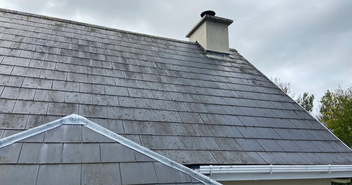 soft wash roof cleaning